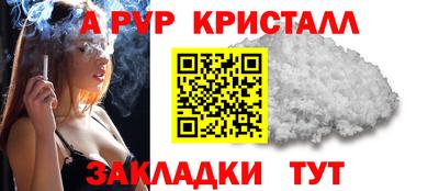 кокс Гатчина