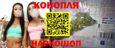 кокс Гатчина