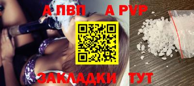 кокс Гатчина