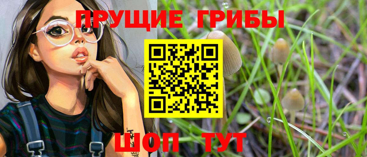 Галлюциногенные грибы Cubensis  Вход с VPN  Галлюциногенные грибы MAGIC MUSHROOMS  Дальнереченск 